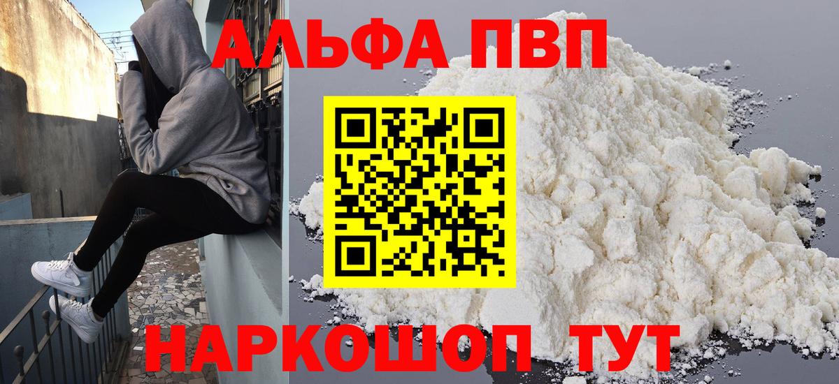 Alfa_PVP СК КРИС Новозыбков