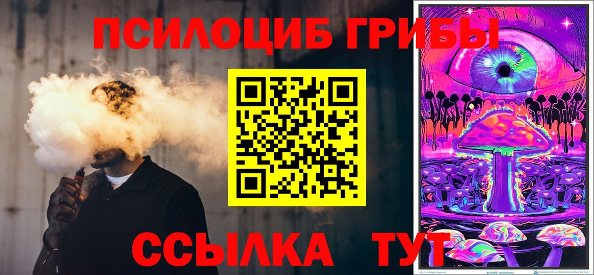 Новозыбков  Псилоцибиновые грибы Magic Shrooms  цена наркотик  Галлюциногенные грибы ЛСД  Вход с VPN 