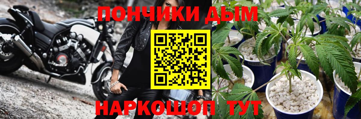 Бошки марихуана Bruce Banner Новозыбков
